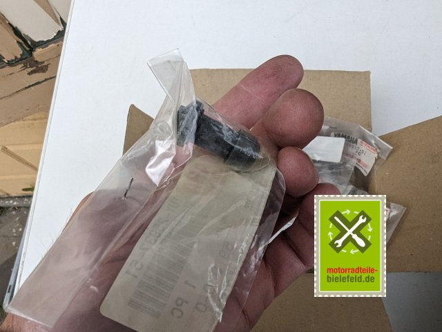 PXL_20240528_174827922